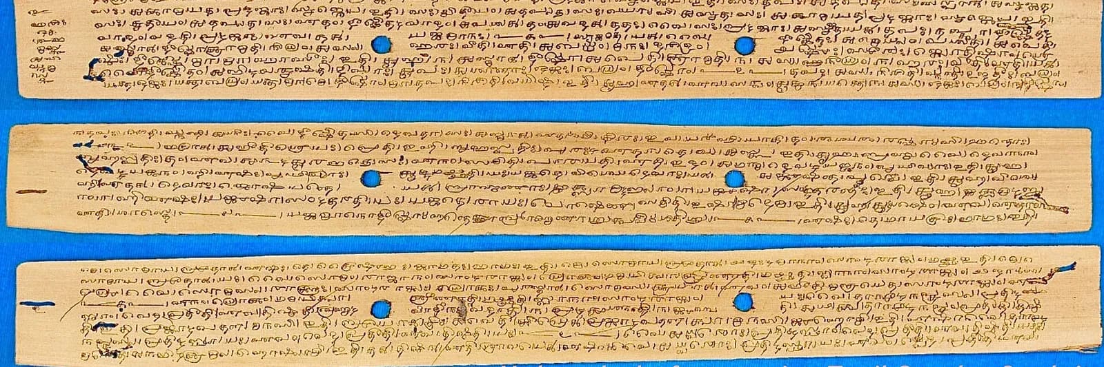 Four palm-leaf strips written in Tamil Grantha script, mounted side by side